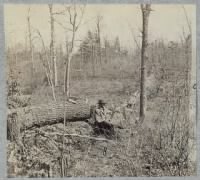 Thumbnail for Federal entrenchments across Plank Road about one mile west of Chancellorsville.jpg