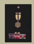 Thumbnail for US Air Force Medals.jpg