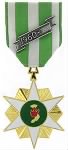 Thumbnail for RVN Campaign Service Medal.png