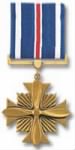 Thumbnail for medals_dist_fly_cross_100x200.jpg