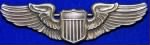 Thumbnail for US Army Air Forces Pilot Wings.jpg