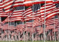 Thumbnail for Field-of-Heroes-American-Flags.jpg