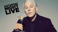 Steve-Martin-Hosts-SNL-01-31-2009-steve-martin-5208419-500-281.jpg