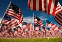 Thumbnail for american-flags-in-a-field.jpg