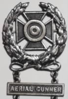 Thumbnail for Aerial Gunner Expert Marksman badge (1).jpg