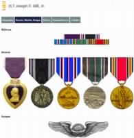 Thumbnail for Joseph F Gill medals.jpg