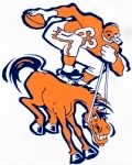 Thumbnail for broncos.gif