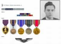 Thumbnail for Bevins medals.jpg