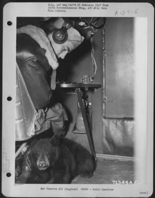 Radio Operator > The Radio Operator On Board A Boeing B-17 "Flying Fortress" Of The 390Th Bomb Group, Looks Down Affectionately At The Bear Mascot Before Taking Off From His Base In England.  9 August 1943.