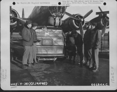 Thumbnail for General > Installation Of Safety Pins And Bomb Bay Tanks On A Boeing B-17 "Flying Fortress" Of The 381St Bomb Group At 8Th Air Force Station 167 In England.  5 January 1945.