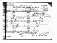 Thumbnail for Francis Fay Kehoe Birth Certif_NYC deptHealth.jpg