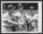 Thumbnail for Rudy York, Ted Williams, and Bobby Doerr..jpeg