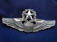 Thumbnail for Command Pilot Badge.JPG