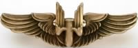 Thumbnail for Aerial Gunner Wings...jpg