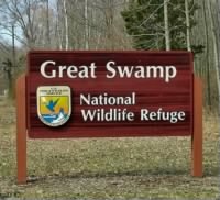 Thumbnail for Great-Swamp-NWR-Sign-at-White-Bridge-Cropped-308x281.jpg