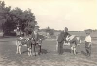 Thumbnail for Maynard examines a 4-H dairy project.jpg