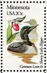 Thumbnail for Minnesota Loon.gif