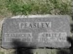 Thumbnail for Clarence and Crete Peasley gravestone.jpg