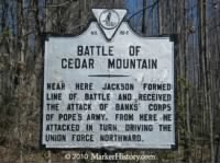 f-20 battle of cedar mountain.jpg