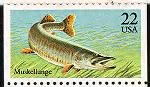 Thumbnail for Muskellunge.gif