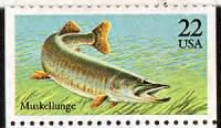 Thumbnail for Muskellunge.gif