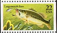 Largemouith bass.gif
