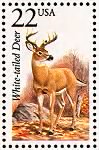 White-tailed deer.gif