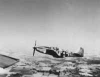 Thumbnail for 368th Fighter Squadron P-51 Mustang (WWII).jpg