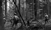 Thumbnail for Huertgen Forest, Germany.jpg