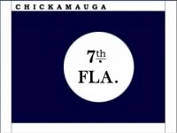 Thumbnail for 7th Florida Infantry Regimental Colors - Hardee Pattern.jpg