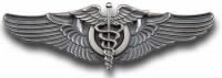 Thumbnail for WW 2 Flight Surgeon wings.jpg