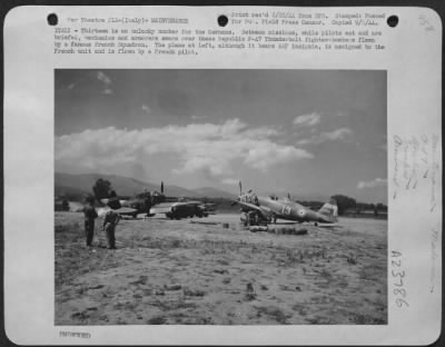 Thumbnail for Consolidated > ITALY--Thirteen is an unlucky for the Germans. Between missions, while pilots eat and are briefed, mechanics and armorers swarm over these Republic P-47 Thunderbolt fighter-bombers flown by a famous French Squardron. The plane at left, although it