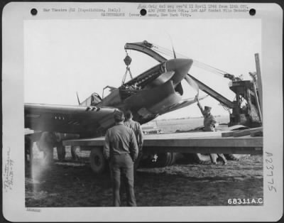 Thumbnail for Consolidated > Maintenance Men Haul Away A Curtiss P-40 Warhawk Of The 79Th Fighter Group, Based At Capodichinio, Italy, After It Made A Crash Landing.  The Landing Hear Had Been Shot Away During A Dog Fight.