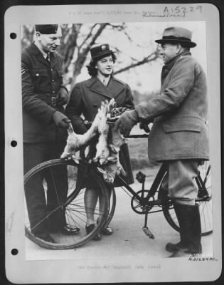 Thumbnail for Consolidated > Giving a tip on English country life an RAF sergeant discusses way of preparing a nice dish of rabbit.