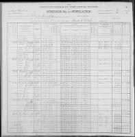 Thumbnail for Samuel and Rose Ann Haithcock - 1900 Census.jpg