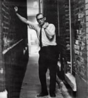 royko_alley_small.jpg