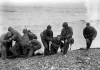 Thumbnail for 384597548 Omaha Beach Fox Red.jpg