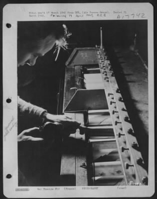 Thumbnail for Processing > FRANCE--With immersion rods down and paper threaded the print takes five minutes to pass through the processing tanks of developer, fixing bath, and cascade wash. Cpl. Delbert Mullins of Waynesburg, Ky., adjusts the wiper between the fixing tank and