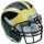 Thumbnail for Michigan Helmet.JPG