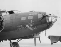 Thumbnail for Cock O' The Walk B-17 Flying Fortress, 388th Bomb Group.jpg