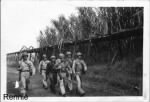 Thumbnail for 1942-Rennie- on the march sugar cane fields Hawaii.jpg