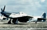 Thumbnail for North American P-51 Mustang of the 352nd Fighter group - known as the Blue-nosed Bastards of Bodney.jpeg