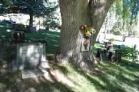 Thumbnail for Donald D Craw jr grave 3.jpg