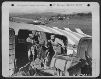 Thumbnail for Consolidated > Chinese And American Troops Load Mules Onto A Douglas C-47 Of The 319Th Troop Carrier Squadron, 1St Air Commando Group, For Their Flight From Myitkyina, Burma, Over The Hump Into China. 13 December 1944.