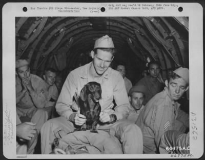 Thumbnail for Consolidated > No matter how packed the C-47 transport may be there is always room for a "pooch." Many a dog can probably hand you his shortsnorter bill to sign, while many another can give you interesting experiences which he has shared with his master while