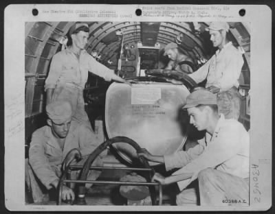 Thumbnail for Consolidated > Bomb-bay tank installed in a Douglas C-47 used to hold DDT powder for spraying the Manila area, Philippine Islands.