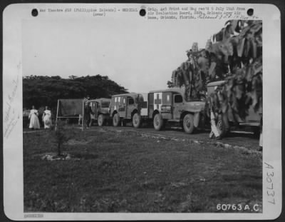 Thumbnail for Consolidated > Ambulances Lined Up At The 120Th General Hospital, Philippine Islands, Waiting To Pick Up American Patients For Evacuation To The United States.  May 1945.