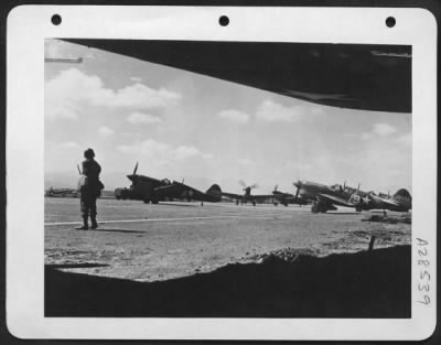 Consolidated > P-40's taxiing.