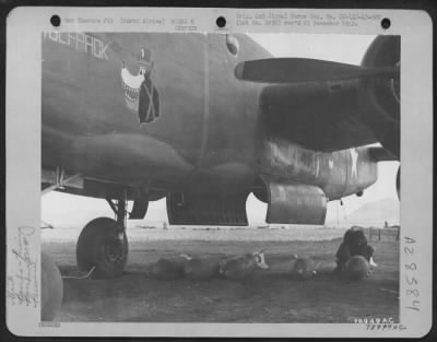 Consolidated > S/Sgt. R.E. Dowling of St. Helena, California, a member of the 380th Bomb Squadron, 310th Bomb Group, fusing 500 lb. bombs used in the North American B-25 "WOLF PACK" prior to a raid. 7 March 1943, Berteaux, North Africa.