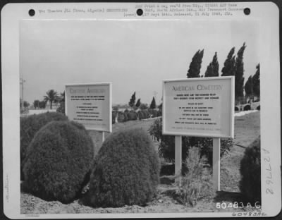 Consolidated > American Cemetery, Oran, Algeria.